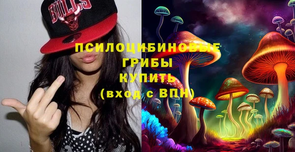 твердый Белокуриха