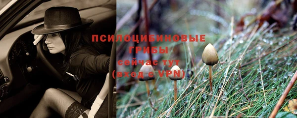 твердый Белокуриха