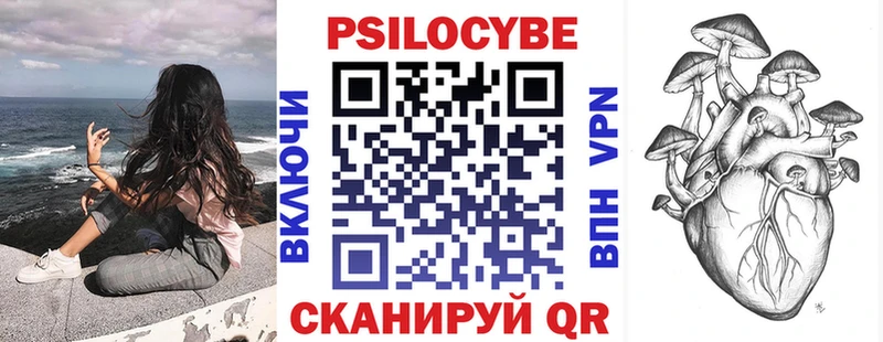 Галлюциногенные грибы Psilocybe  darknet телеграм  Вязьма 